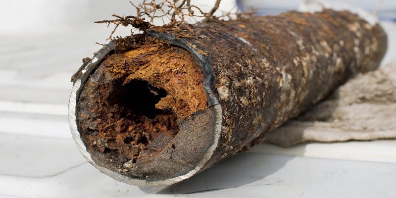 Tree Root Intrusion in drains