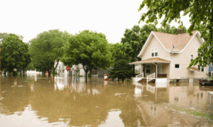 Fast & Reliable Commercial Flood Pumpouts in Staten Island