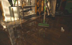 Best Flood Cleanup Company in Staten Island for Fast and Reliable Water 