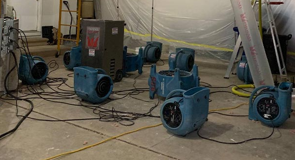 Best Flood Water Extraction Services in Staten Island