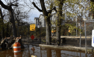 Professional Flood Damage Services in Staten Island