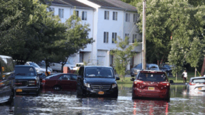 Top Flood Damage Services in Staten Island NY