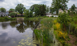 Flood Water Extraction Services in Staten Island, NY