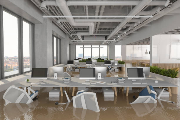 Complete Guide to Best Flood Damage Company in Rosebank Staten Island NY