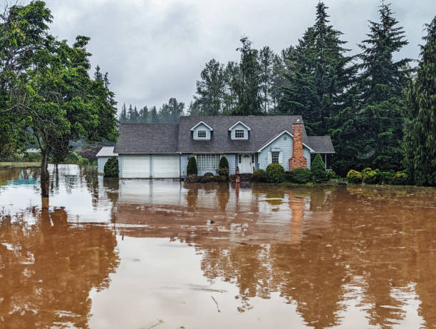 Trusted Flood Damage Services in Annadale Staten Island NY