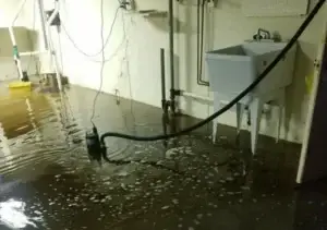 Basement Flooding Specialist