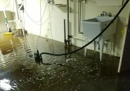 Basement Flooding Specialist
