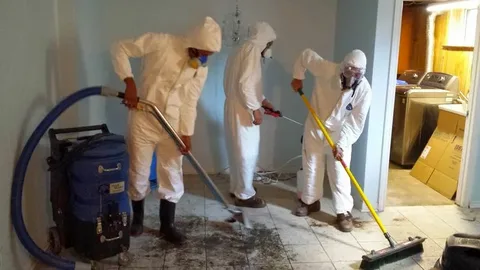Flood Water Extraction Services
