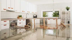 Flood Water Extraction Services