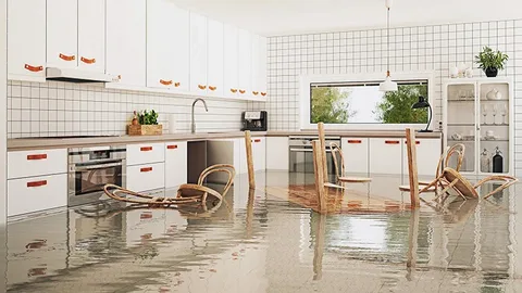 Flood Water Extraction Services