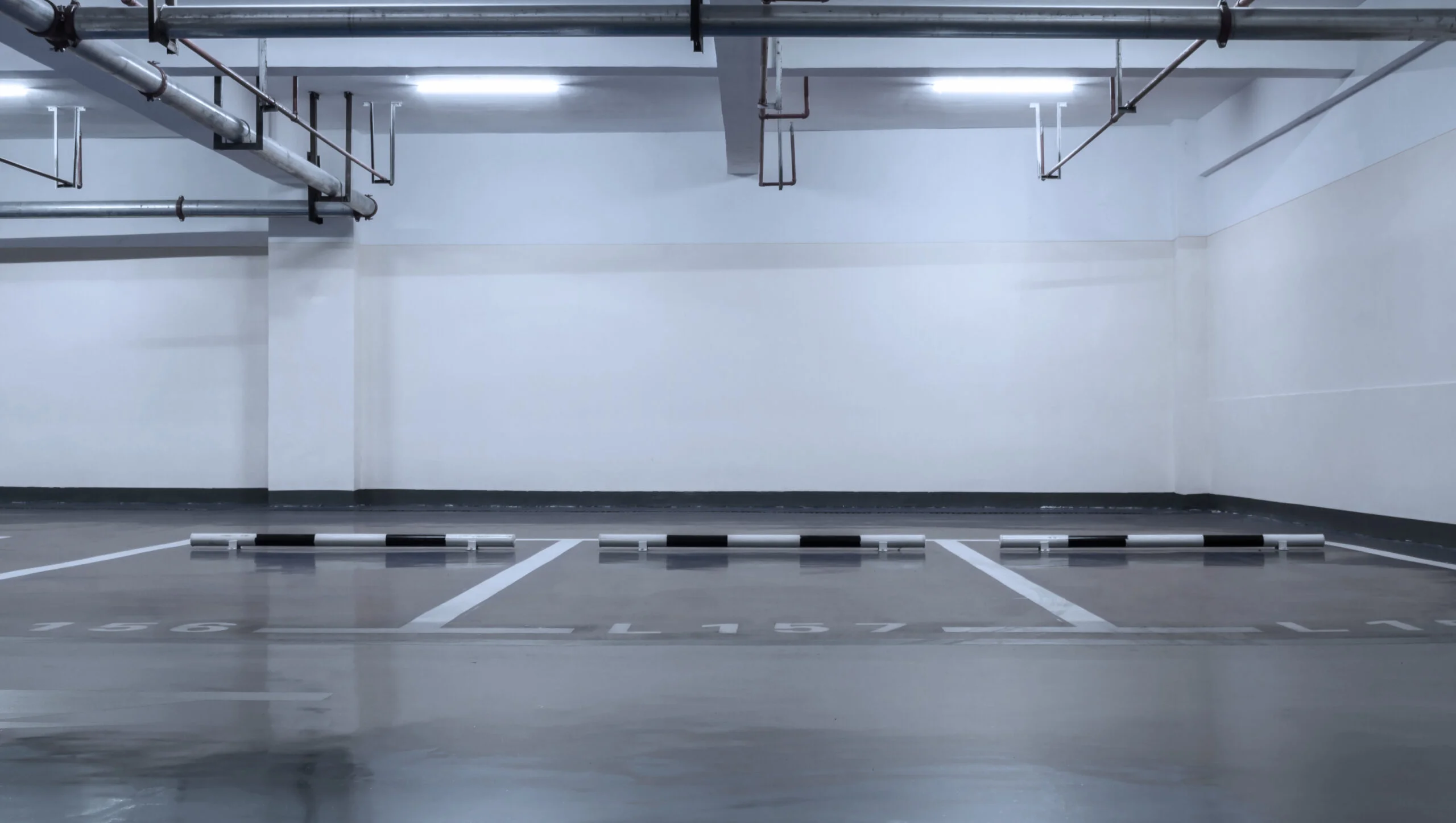 Trusted Garage Cleanouts in Staten Island, Epoxy Flooring in Pasadena & Renovations in Granite Bay