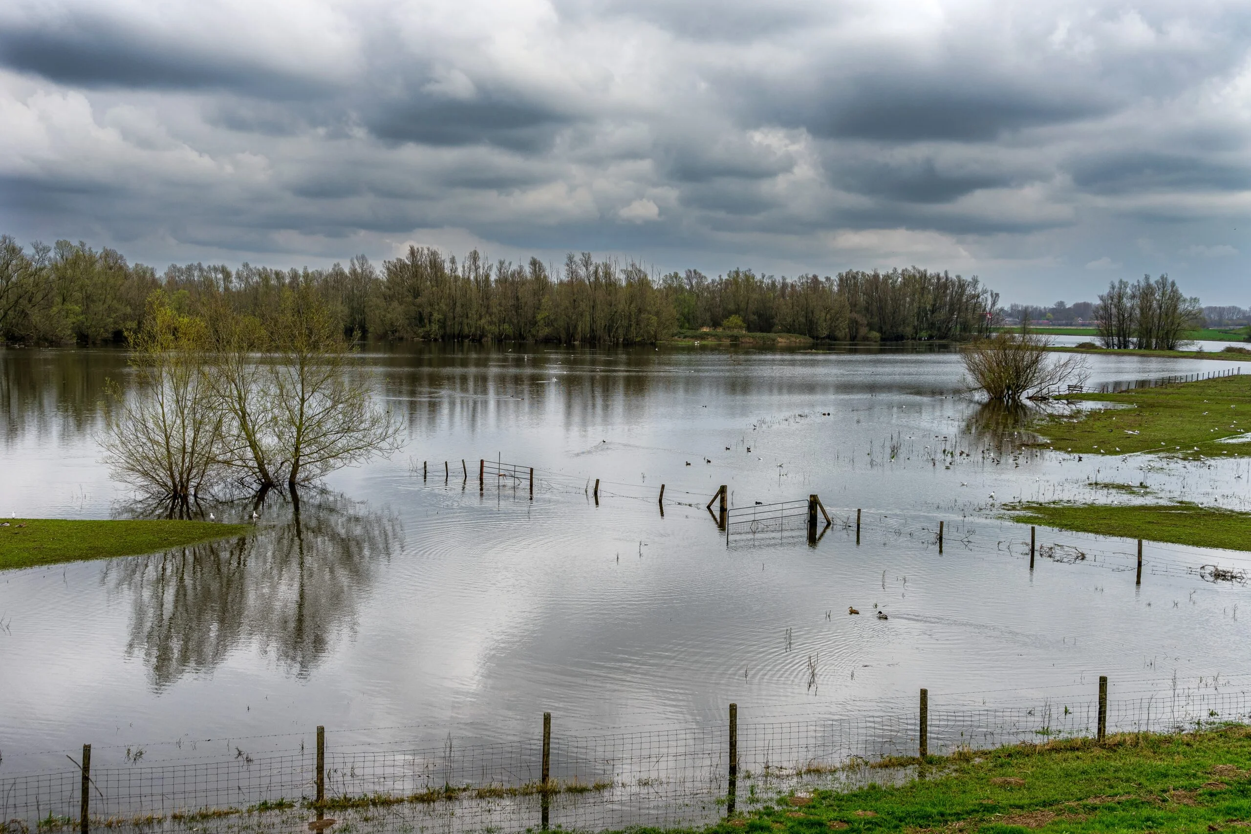Trusted Flood Specialists in Staten Island: Rapid Response, Real Results